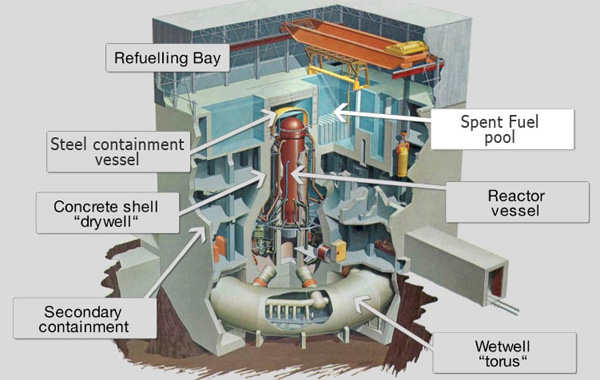 Fukushima Daiichi nuclear reactor