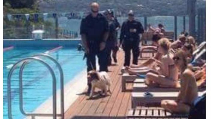 Sniffer dogs at public pool